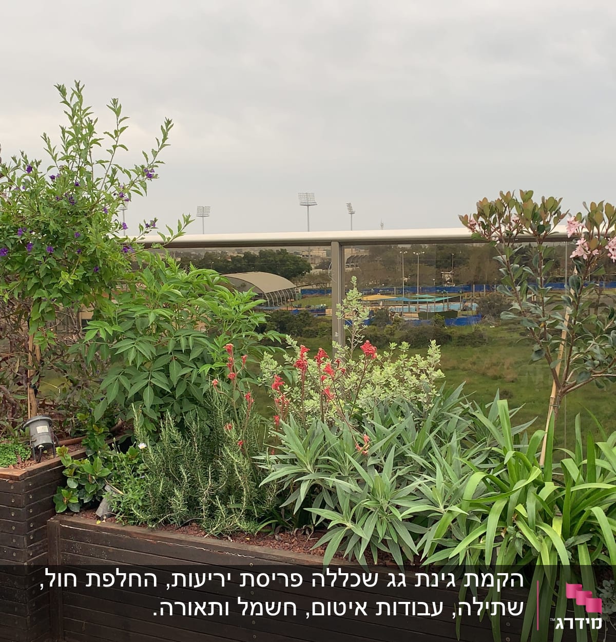 עציצים עם צמחים ופרחים על מרפסת